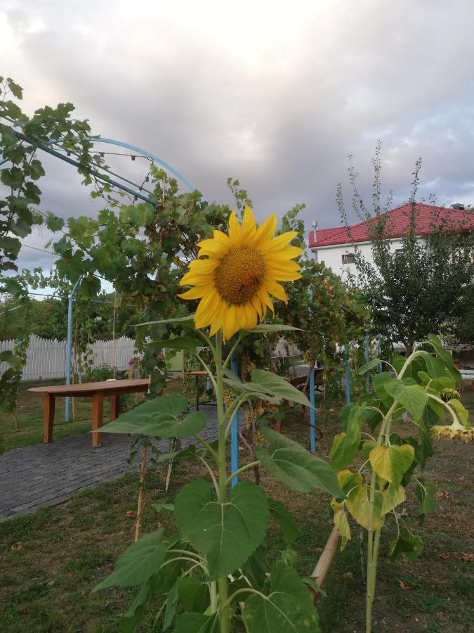 Dushet'i Villa "Zepuri" מראה חיצוני תמונה