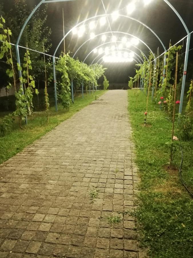 Dushet'i Villa "Zepuri" מראה חיצוני תמונה