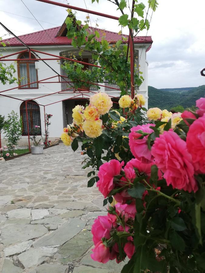 Dushet'i Villa "Zepuri" מראה חיצוני תמונה