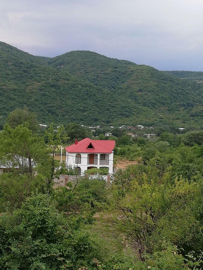Dushet'i Villa "Zepuri" מראה חיצוני תמונה